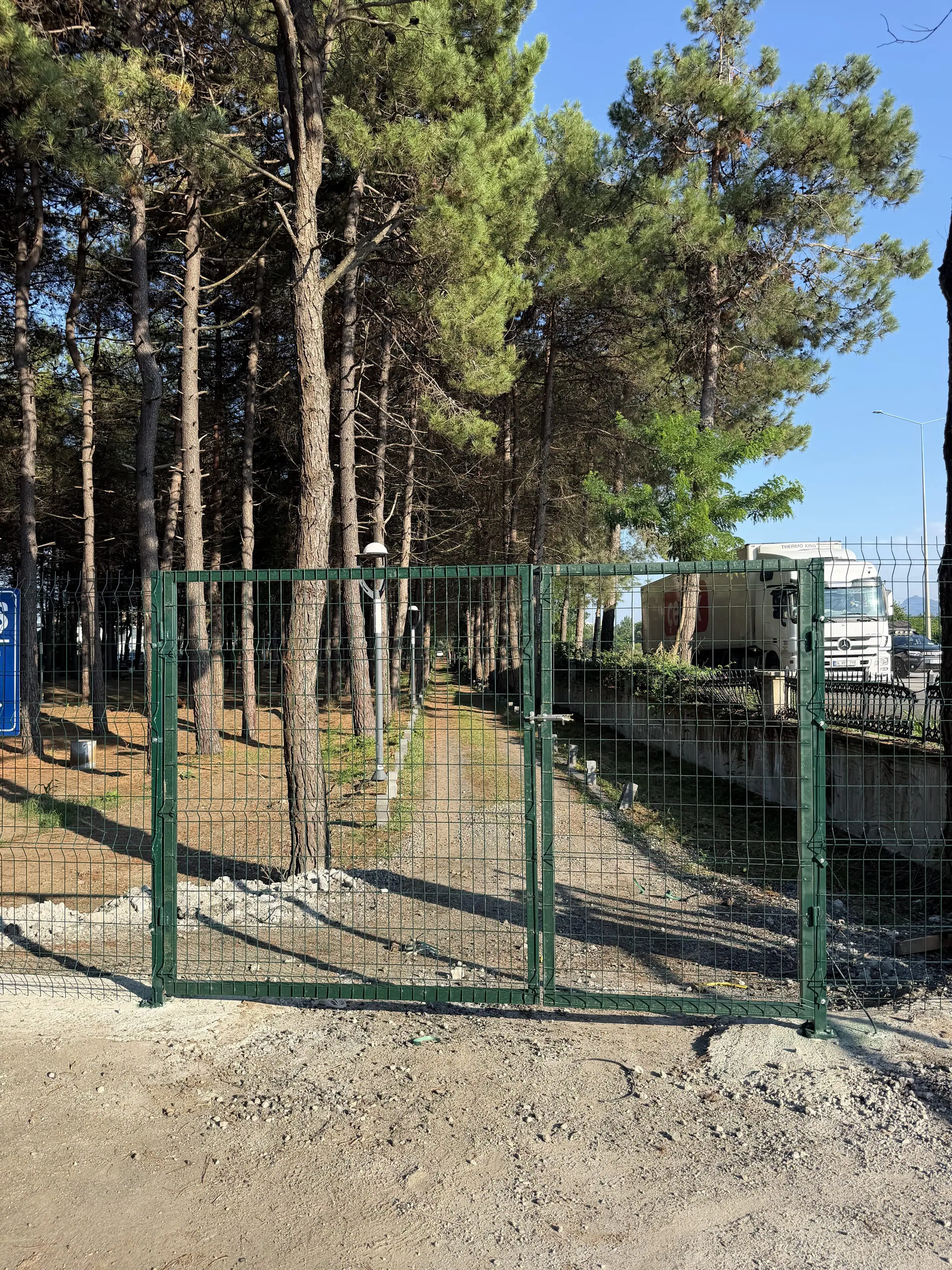 Çamlık alanda yeşil panel kapı